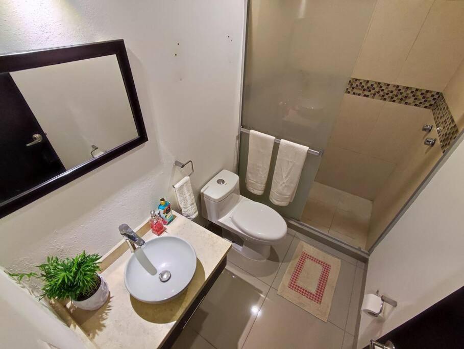Departamento Ejecutivo Con Vista Panoramica